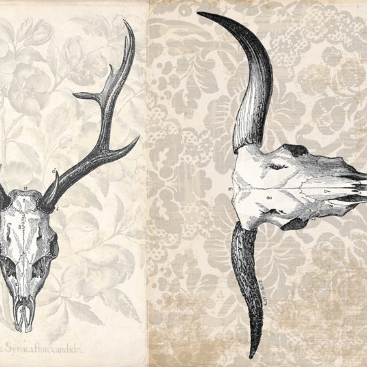 Roycycled Antler Project Decoupage Paper • Rustic • Farmhouse • Furniture Art • DIY • Junk Journal • Scrapbooking • Home Decor • Industrial