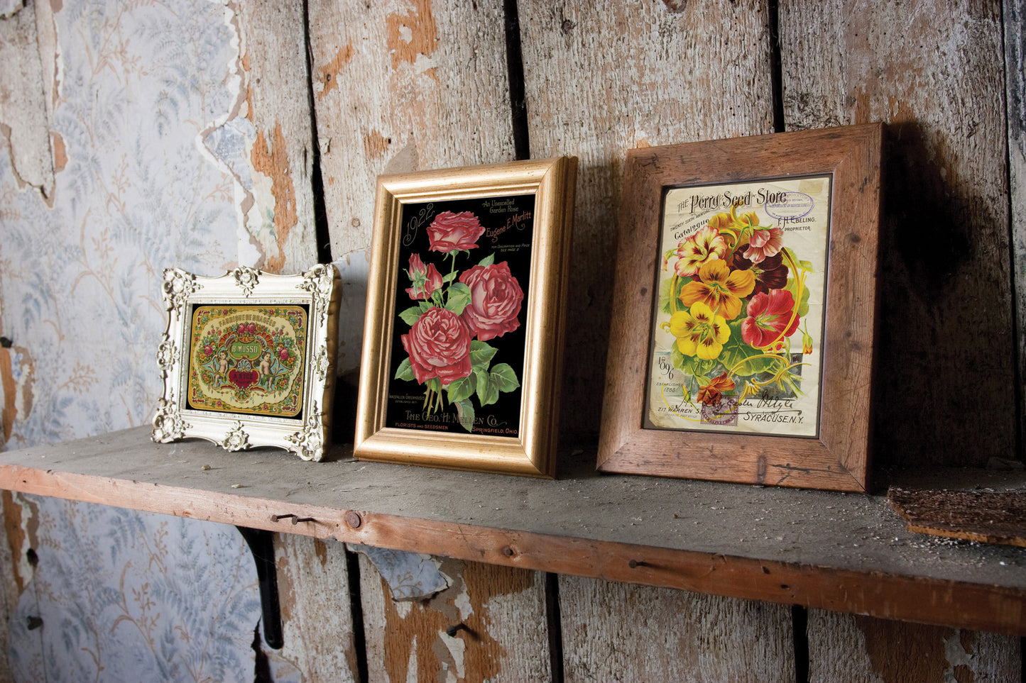 Ephemeral Melange IOD Transfer 8x12