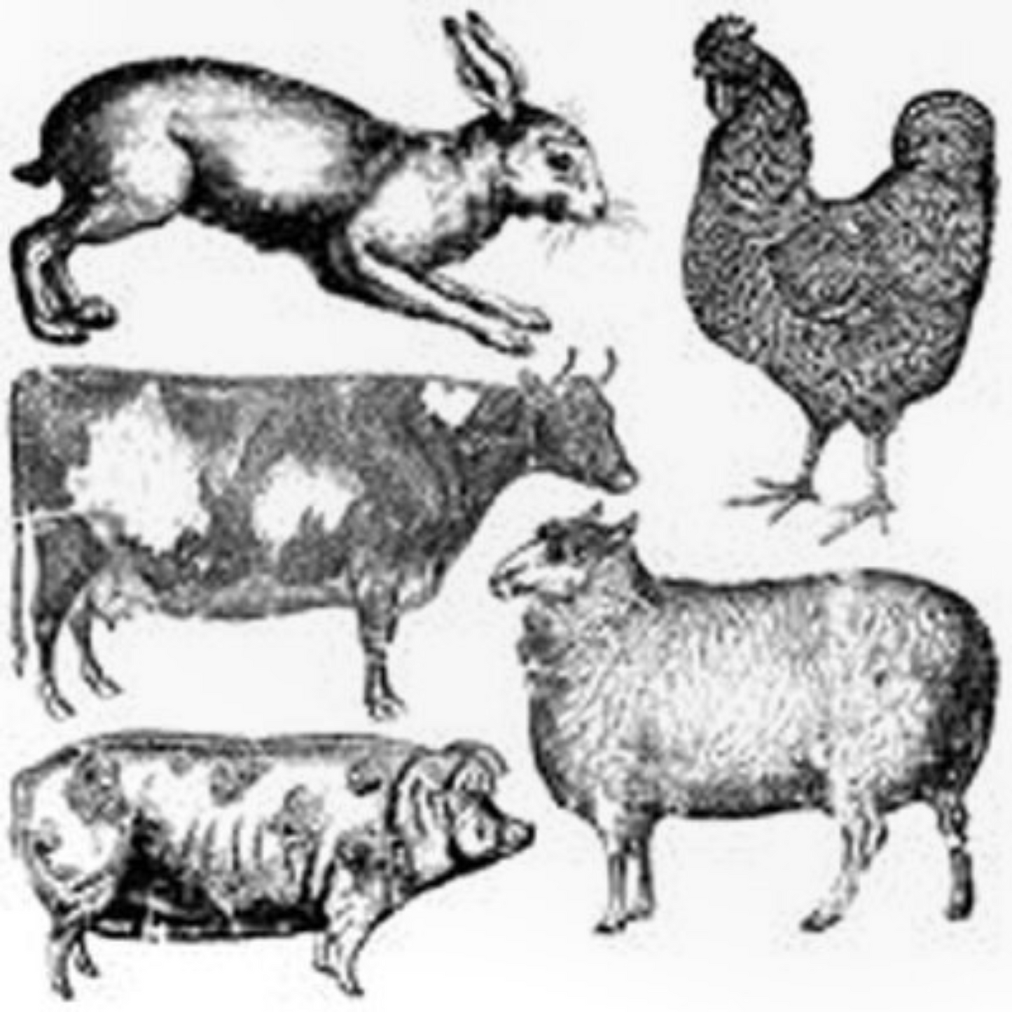 IOD FARM ANIMAL STAMP